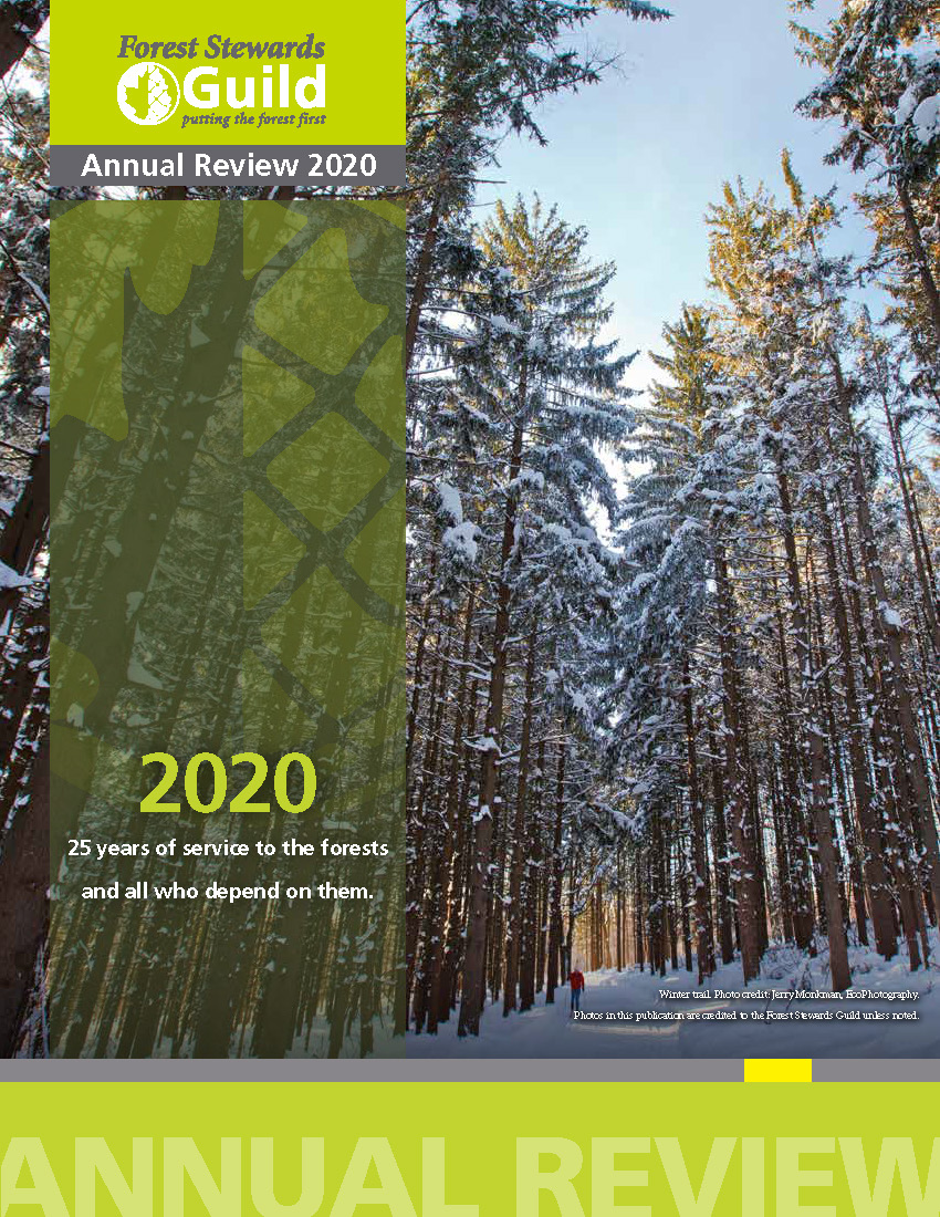 FSG_Annual_Review_2020