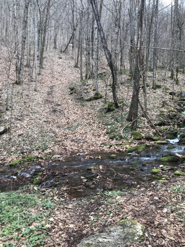 stream crossing on trail