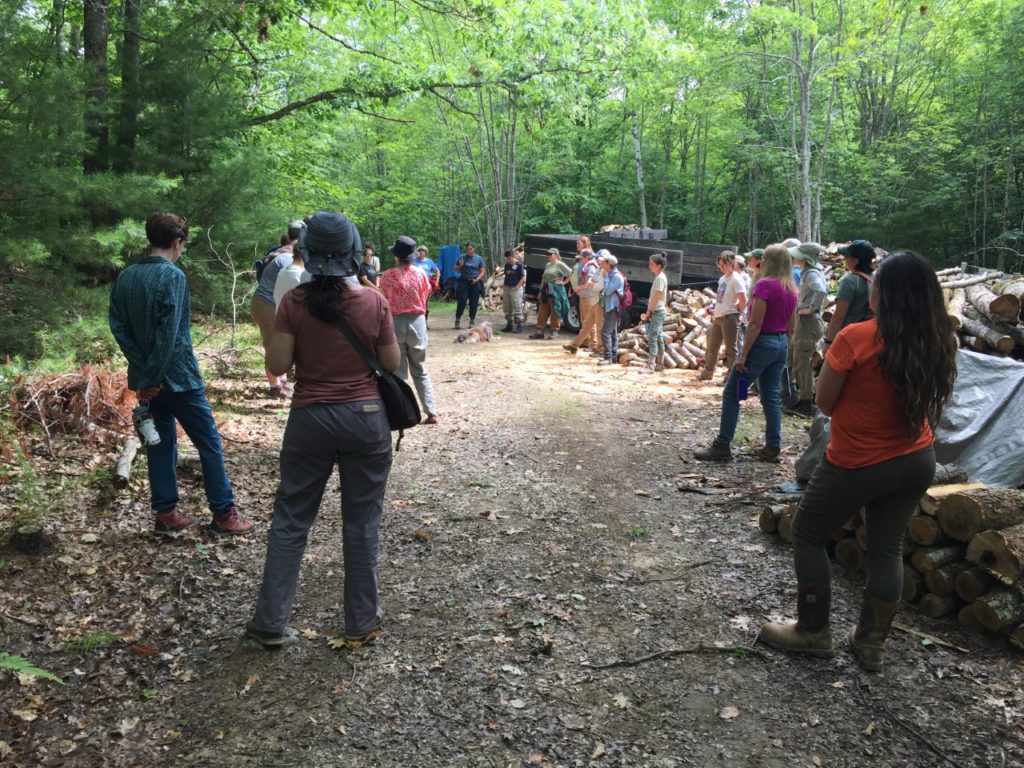 Women foresters on trail