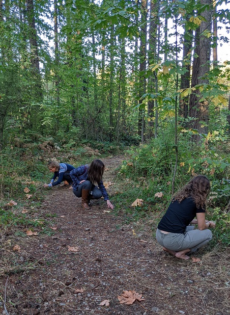 Participants using sense of touch in the woods.