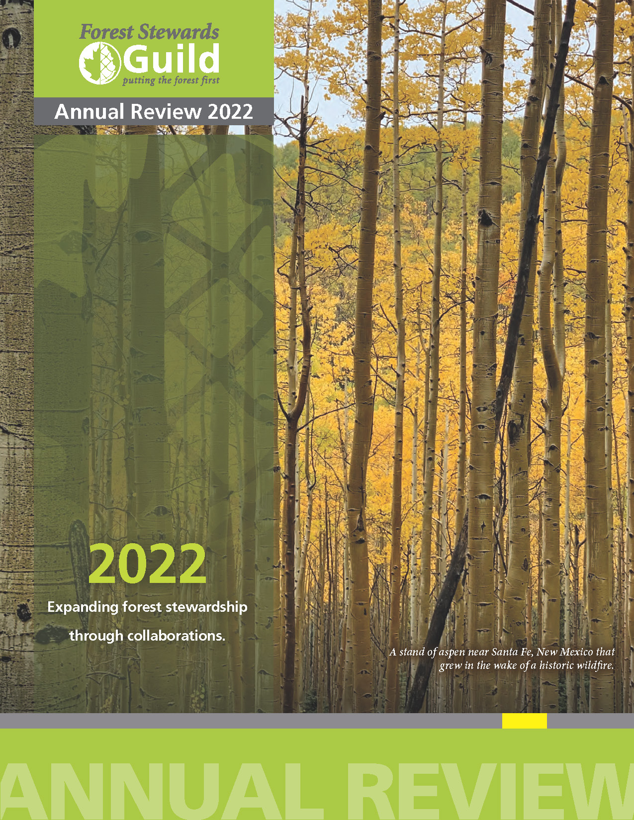 FSG_Annual_Review_2022_img