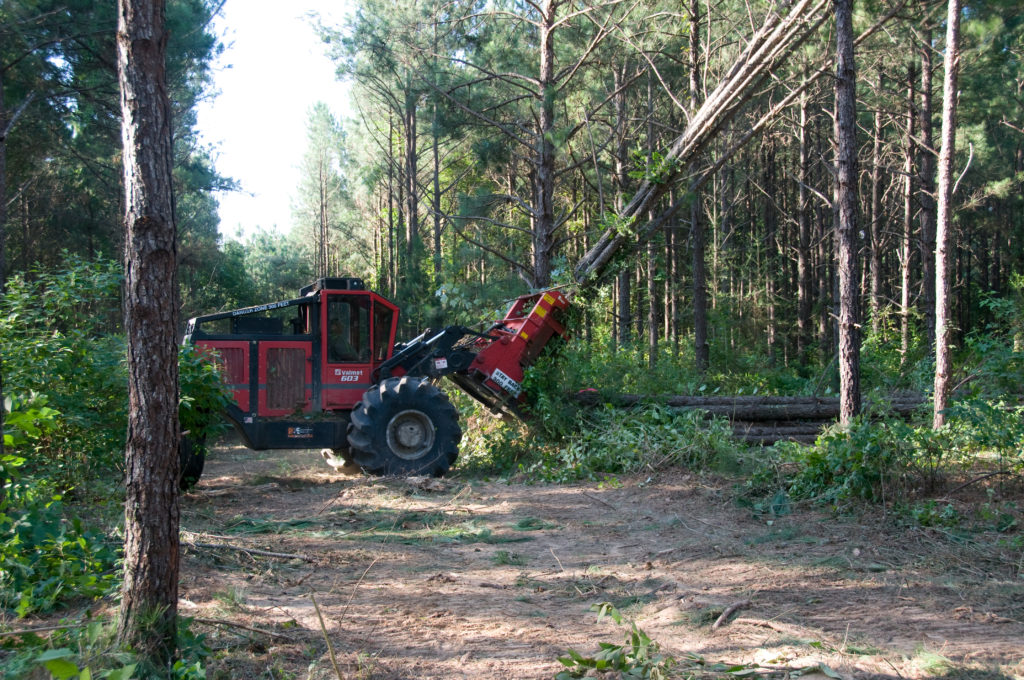 Forestry equipment during harvest.