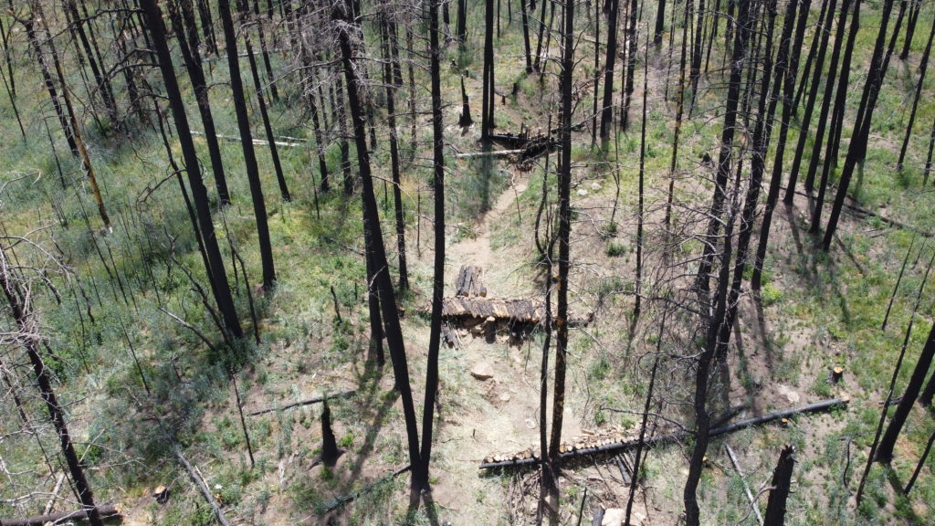 Photo of burned trees and bare ground  after the 2022 Hermit’s Peak Calf Canyon Fire
