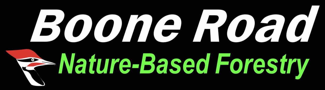 Boone Road Enterprises logo