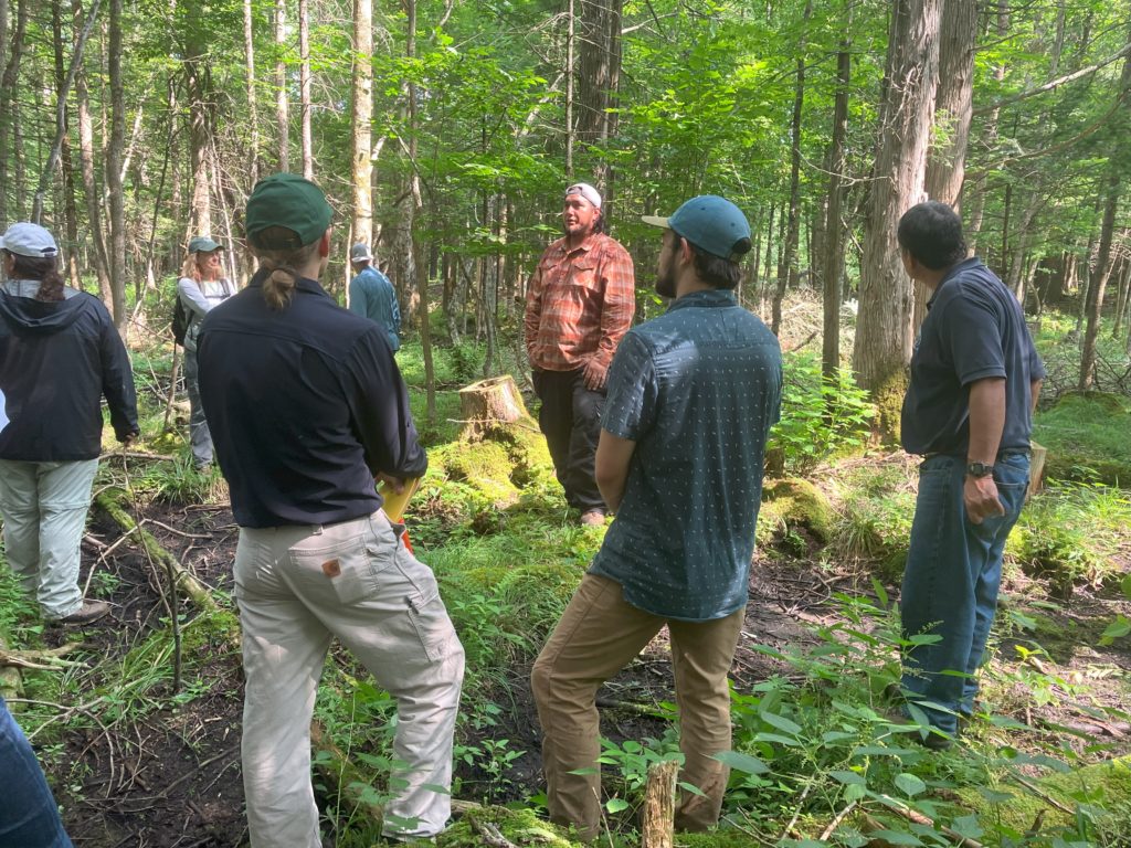 Basket makers, Tribal and non-Tribal natural resource managers, and researchers discuss black ash silviculture