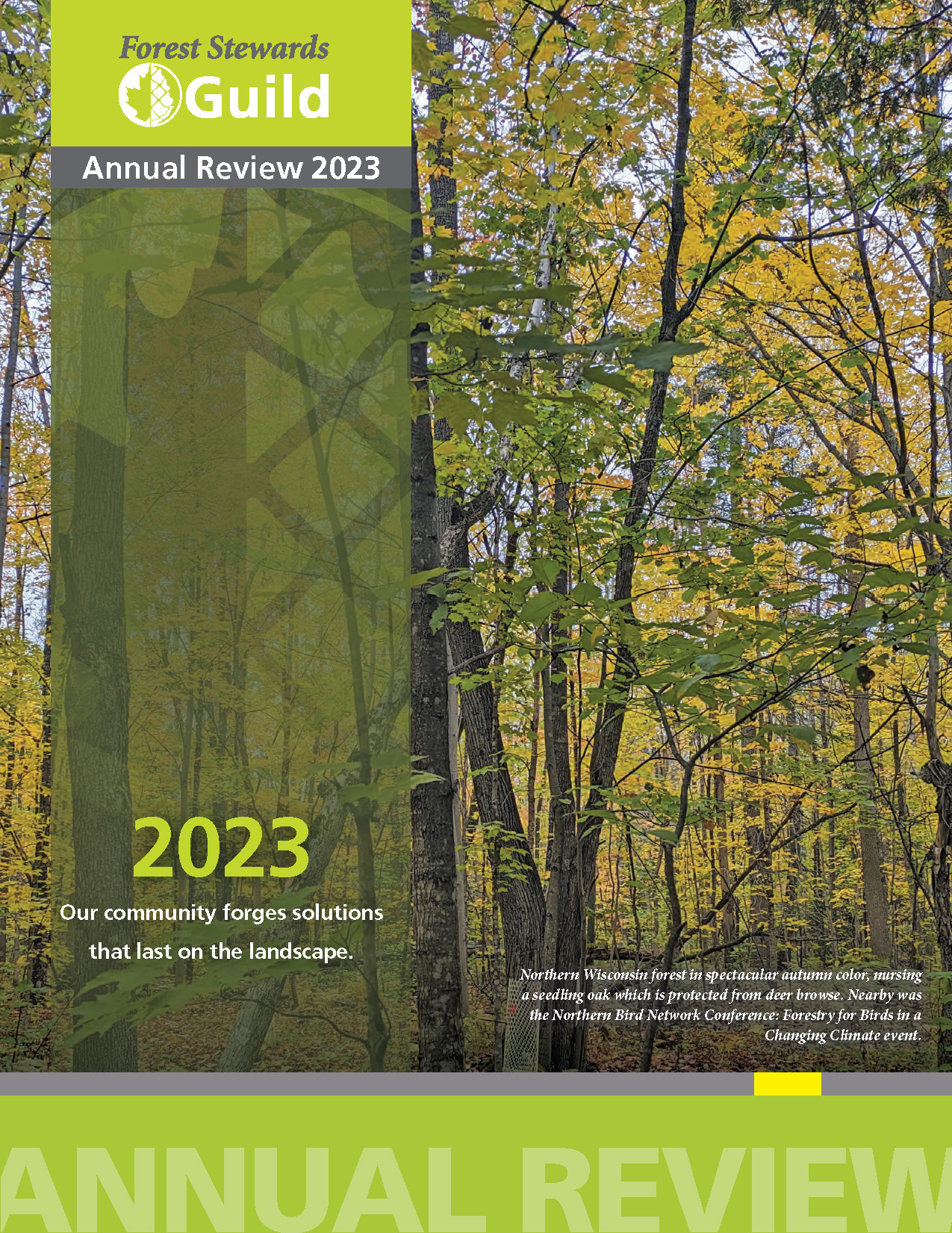 A cover image of the 2023 Annual Review