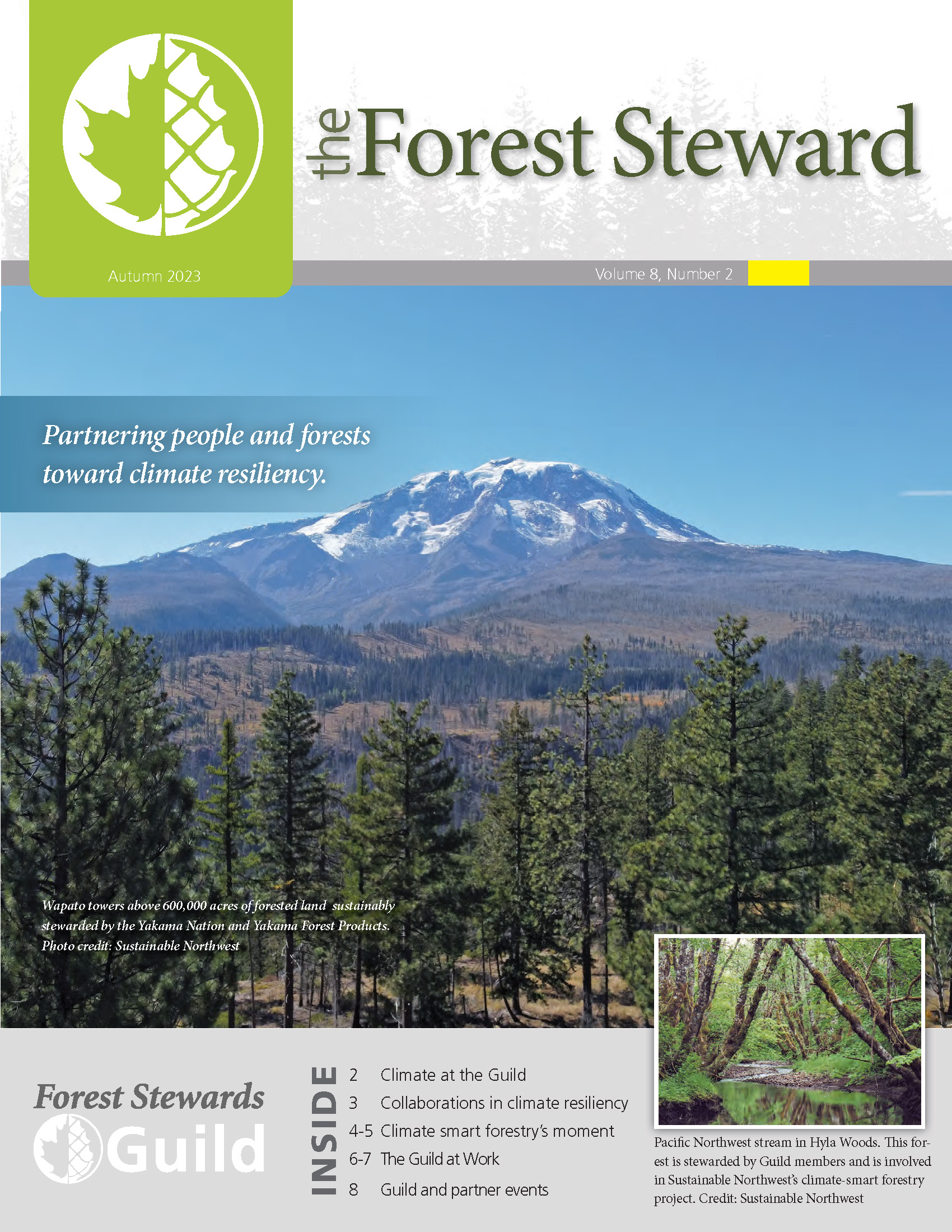 Cover image of the Autumn 2023 Forest Steward magazine