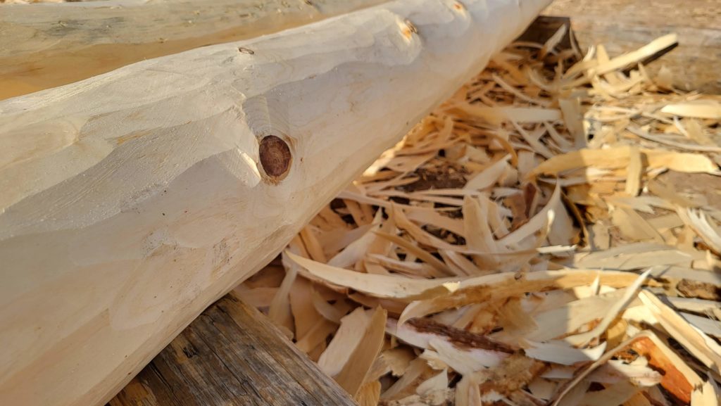 A log whose bark was hand peeled at Walatowa