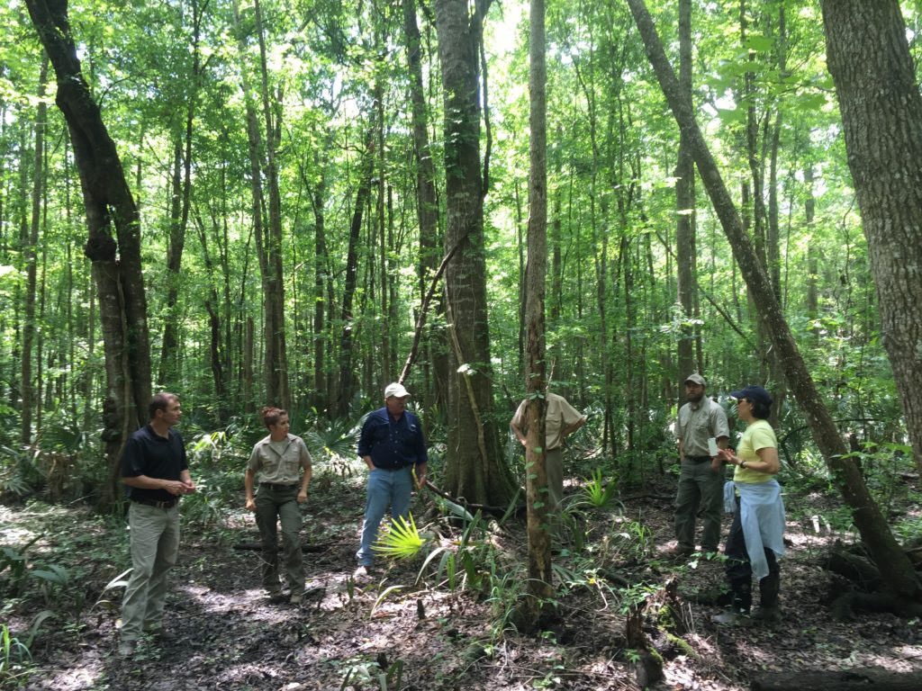A field tour as part of ecological forestry in bottomland hardwood forests work of the southeastern U.S