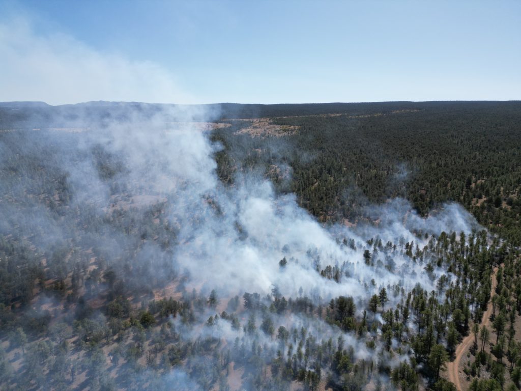 Smoke rises into the air from a prescribed burn