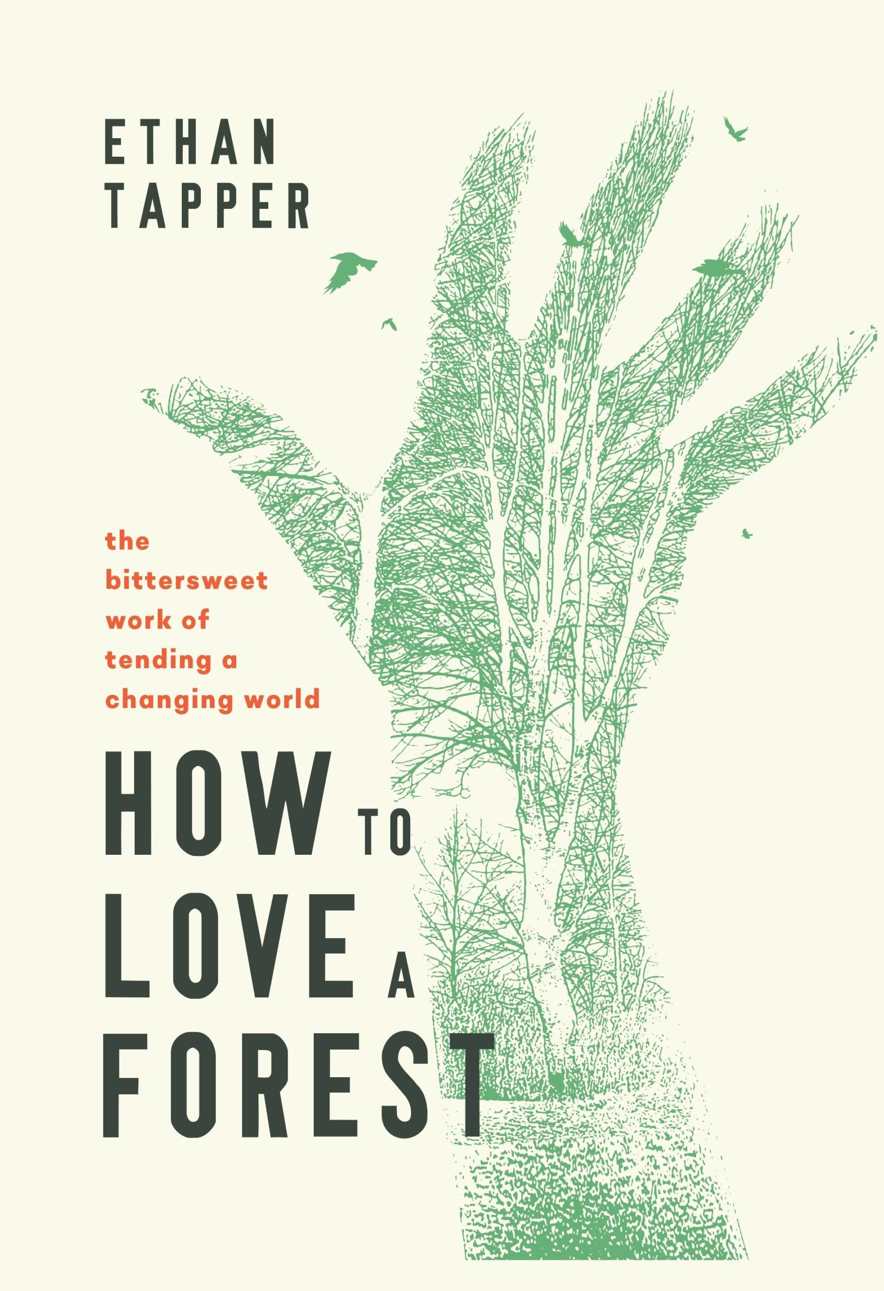 Photo of the cover of the book How to Love a Forest, by Ethan Tapper