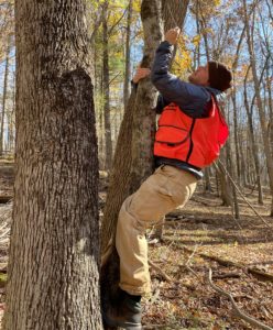 Photo of Chris DeFore climbing a tree