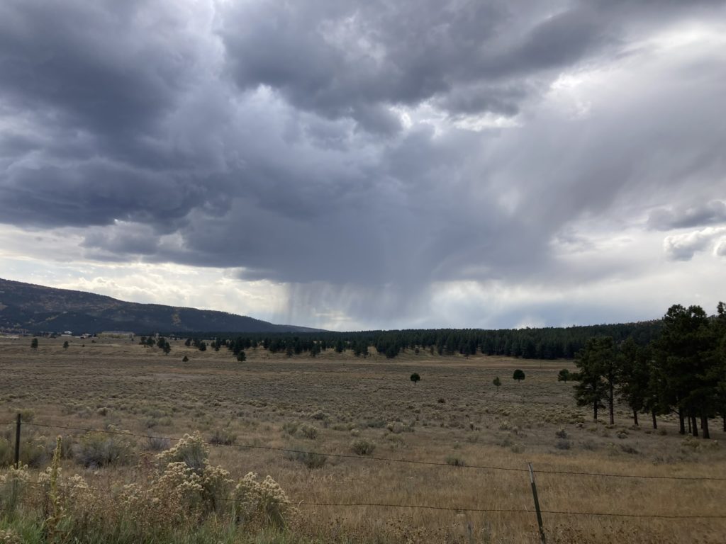 Photo of rain clouds dropping precipitation in the distance.