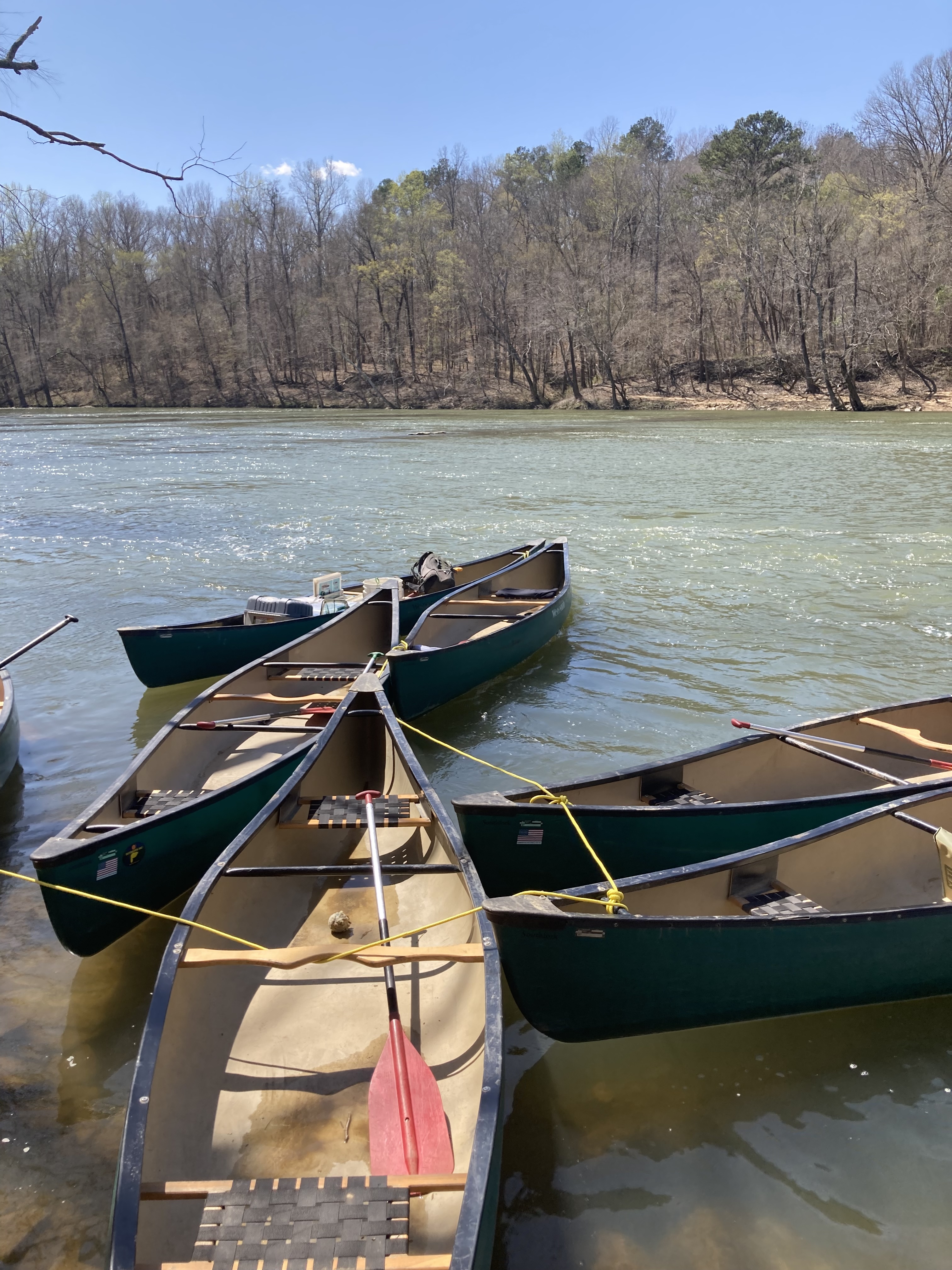 Rachel wearing a blue t-shirt in front of a Southwest landscape resembling the Grand Canyon
