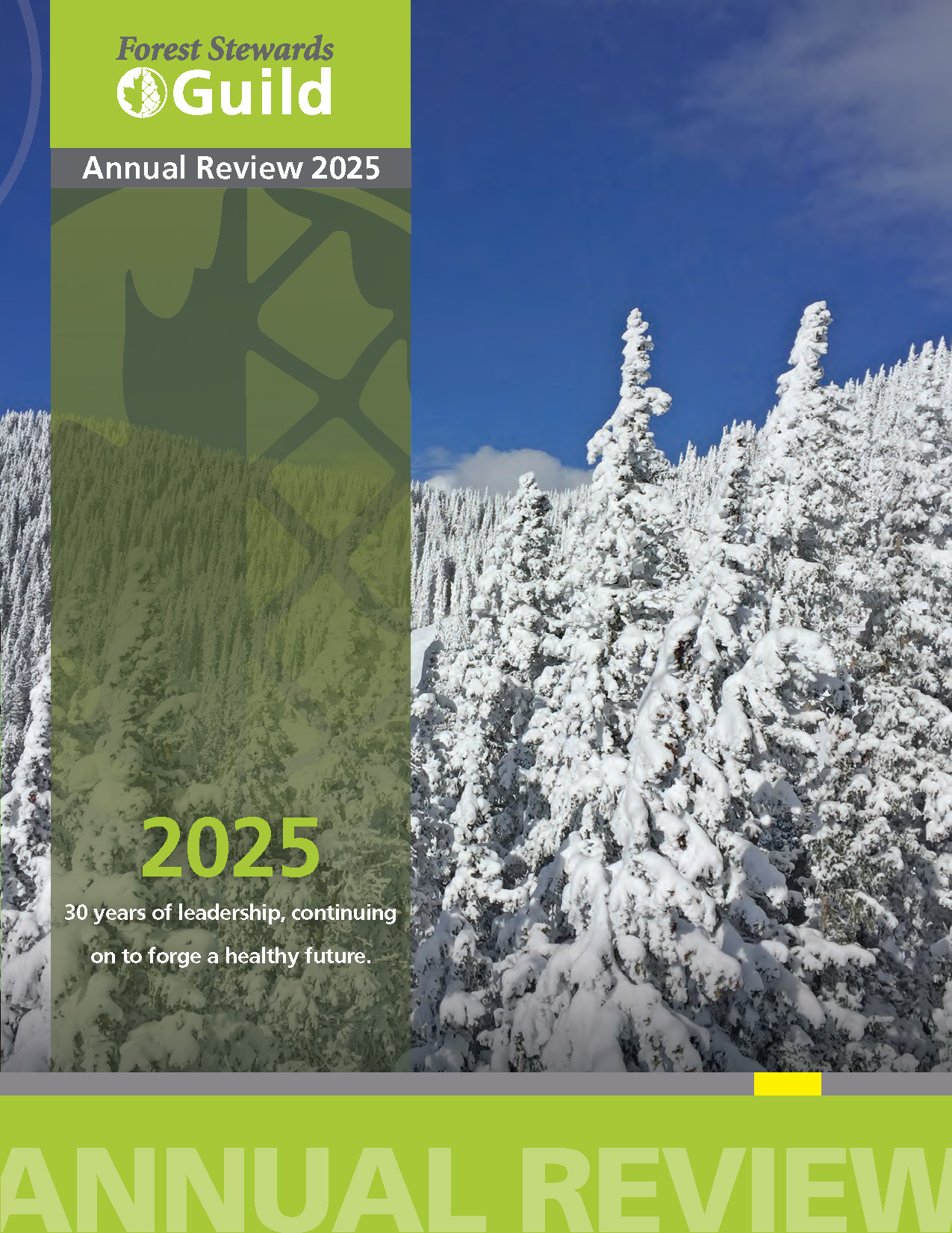 2025_CoverImg_AnnualReview