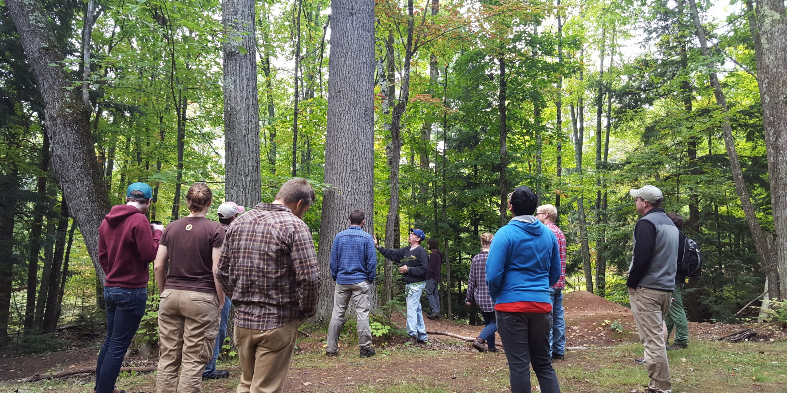 Students standing in the Ford Center Research Forest Model Forest