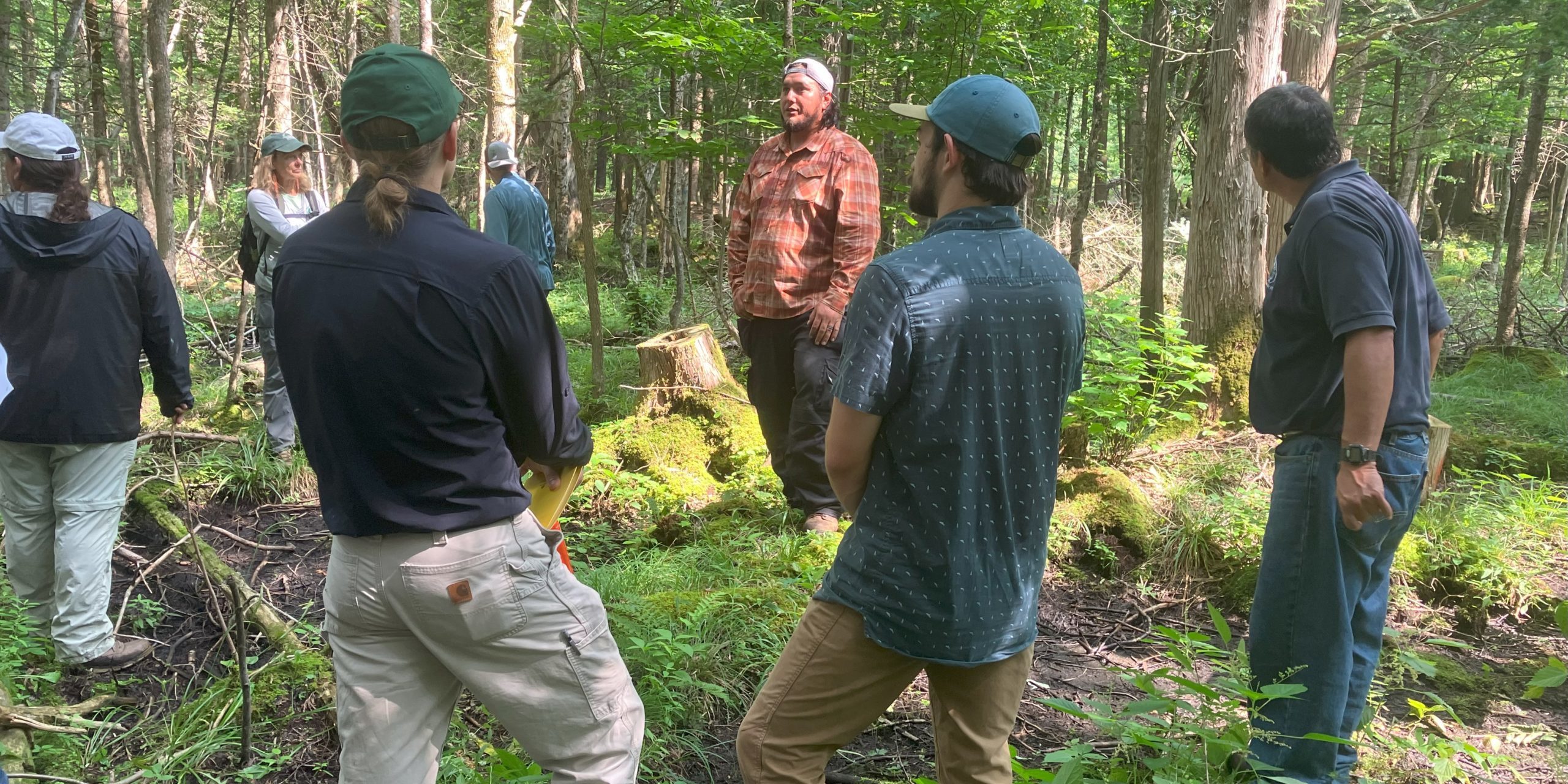 Basket makers, Tribal and non-Tribal natural resource managers, and researchers discuss black ash silviculture